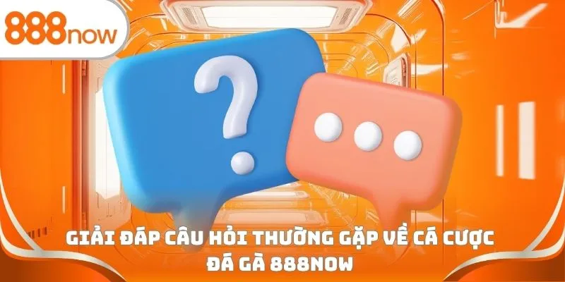 Giải đáp câu hỏi thường gặp về cá cược đá gà 888Now