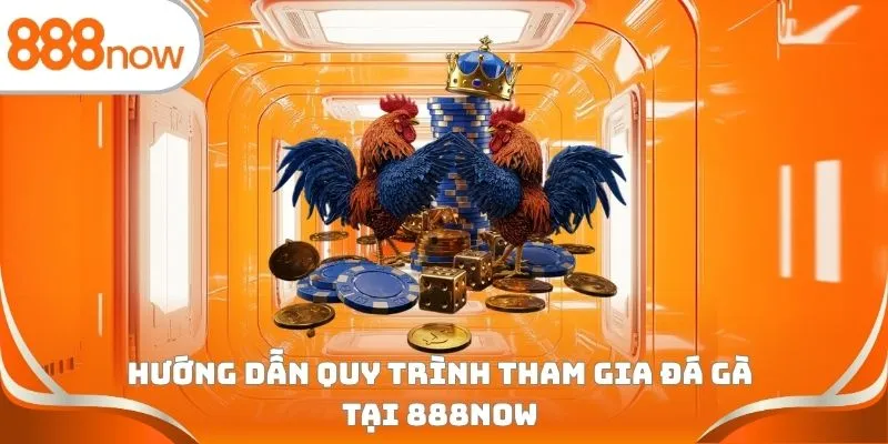 Hướng dẫn quy trình tham gia đá gà tại 888Now